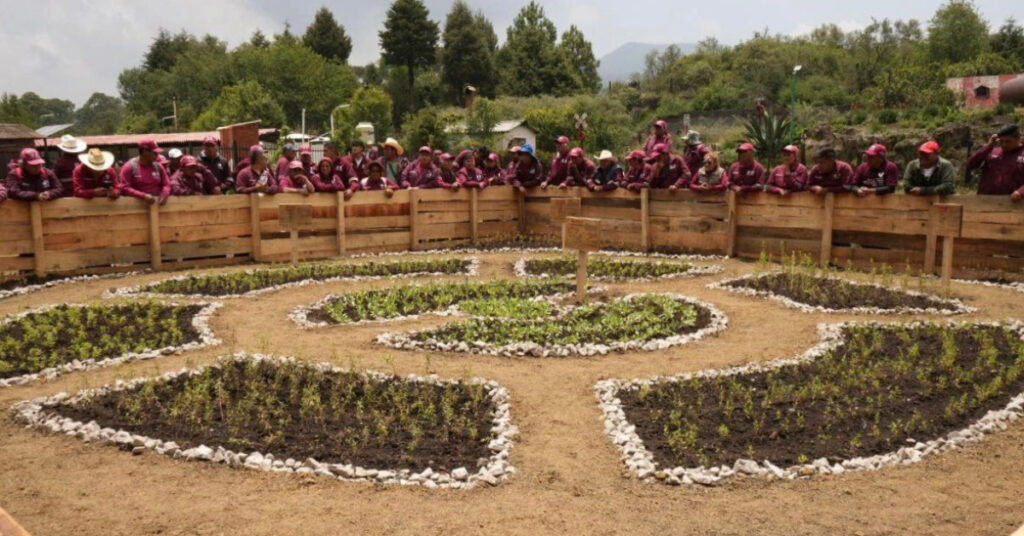 Mexico City Environmental Plan unveiled on World Environment Day